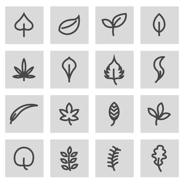 Vector line leaf icons set — Stock Vector