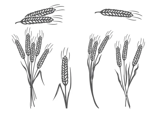 Vector Black Wheat Silhouette Icons Set on White Background Stock Vector