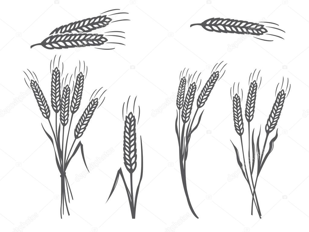 Vector Black Wheat Silhouette Icons Set on White Background