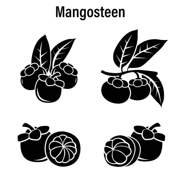 Mangoustan frais sur fond blanc. — Image vectorielle