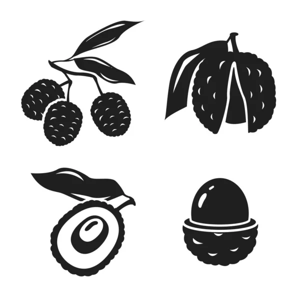 ライチのベクトルイラスト トロピカルフルーツ 現代のブラックスタイル 夏の食べ物 — ストックベクタ