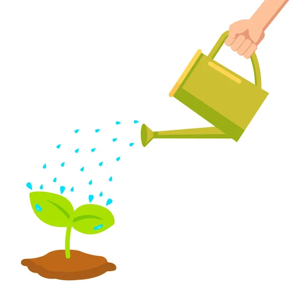 Vector Hand Holding Watering Can Watering Plant Pot Business Concept — Stock Vector