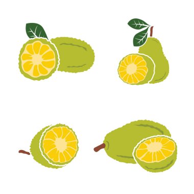 Beyaz arkaplanda vektör siyah Jackfruit ayarlandı