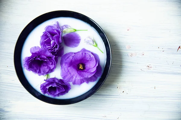 Krásná umělá fialová eustoma květiny v černém talíři s mlékem na dřevěném pozadí Stock Fotografie