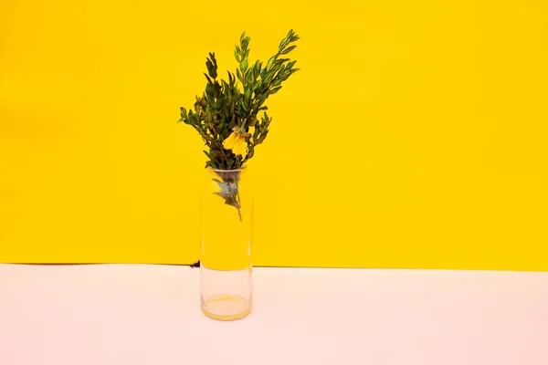 Bouquet of dried flowers in glass jar or bottle on yellow background.