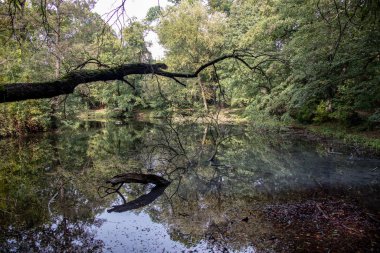 Saksonya, Almanya 'nın Leipzig kentindeki tarihi Abtnaundorfer parkından manzara
