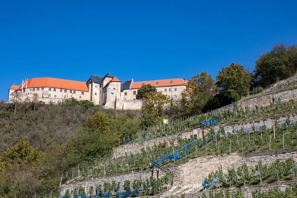 Sajonia Anhalt Vista Viñedos Con Viñas Otoño Friburgo Unstrut —  Fotos de Stock