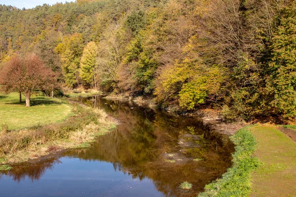 Romantikus őszi táj folyóval Elster gyönyörűen ren — Stock Fotó