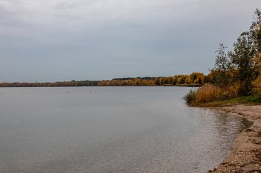 Kospudener Gölü 'nden sonbahar manzarası Eski bir kahverengi kömür açıklığına bakın