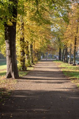 Leipzig, Sakson merkezindeki bir parkın sonbahar manzarası