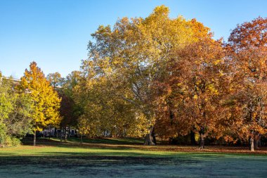 Leipzig, Sakson merkezindeki bir parkın sonbahar manzarası