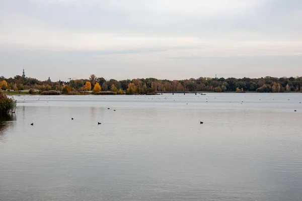 Autumnal view from Lake Cospudener See a former brown coal openc — 스톡 사진