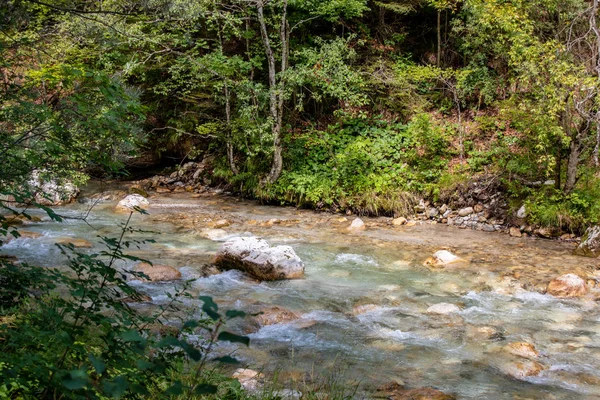 Avrupa 'daki Alplerdeki bir vadide vahşi dere ve nehirlerin manzarası. Akan su, uzun süre maruz kaldığı için kısmen bulanık.