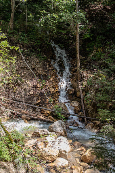 View of wild brooks and rivers in a gorge in the Alps, Europe. The flowing water is partially out of focus due to long exposure