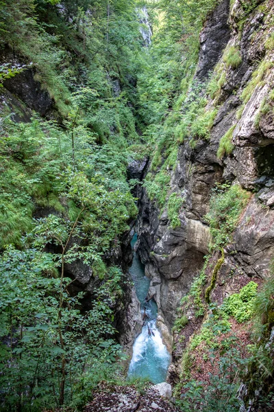 Vista Ribeiros Selvagens Rios Desfiladeiro Nos Alpes Europa Água Corrente — Fotografia de Stock