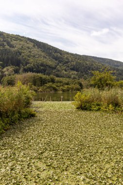 Ossiacher 'daki Triebelmuend' deki Bleisttter Mağribi 'nin Avrupa koruma alanından görüntüler