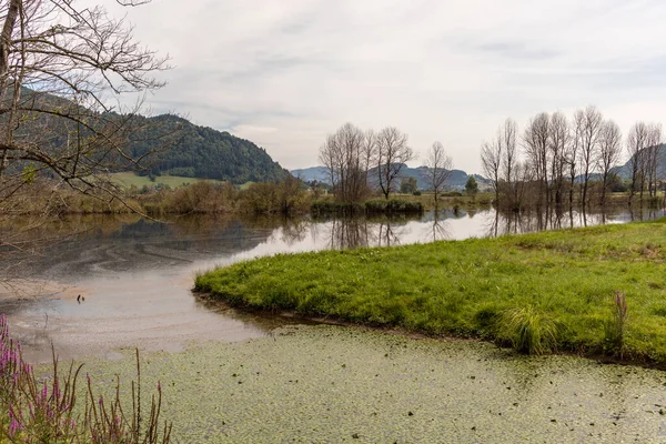 Kilátás Bleisttter Moor Védett Európai Területéről Triebelmuend Ossiacher See Osztrák — Stock Fotó