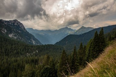 Yüksek dağları ve ormanları olan Avrupa Alpleri Panoraması