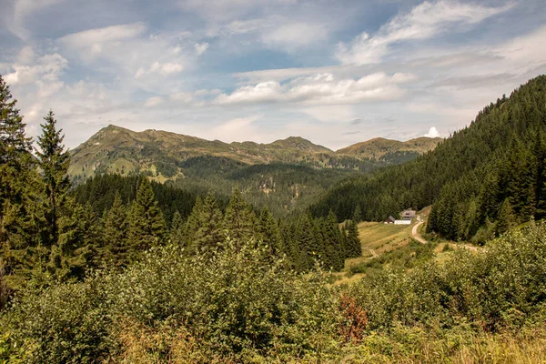 Yüksek Dağları Ormanları Olan Avrupa Alpleri Panoraması — Stok fotoğraf