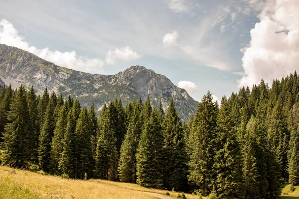 Panorama Des Alpes Européennes Avec Hautes Montagnes Forêts — Photo