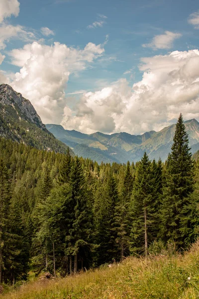 Panorama Los Alpes Europeos Con Altas Montañas Bosques —  Fotos de Stock