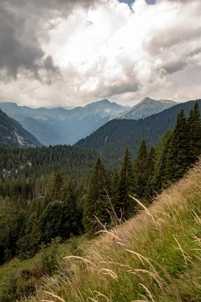Πανόραμα Των Ευρωπαϊκών Άλπεων Ψηλά Βουνά Και Δάση — Φωτογραφία Αρχείου