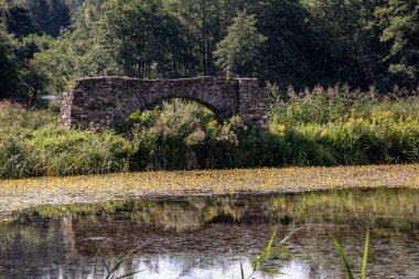 Avrupa 'da mavi gökyüzü olan ormandaki doğal bir göletin önündeki eski bir duvar ve köprü parçalarının görüntüsü