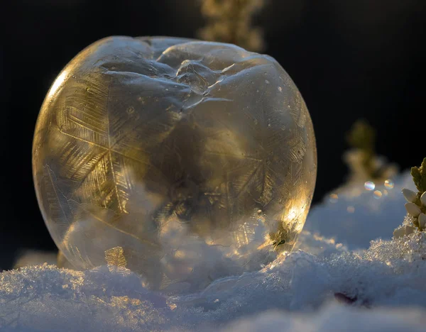 Frágil bolha de sabão congelado iluminado pelo sol — Fotografia de Stock