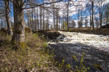 Flood after the snow melt in spring in Varmland / Sweden