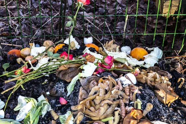 View into a compost bin with different compostable waste. — Stockfoto