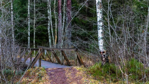 Dřevěný most přes řeku v lese ve Švédsku — Stock fotografie