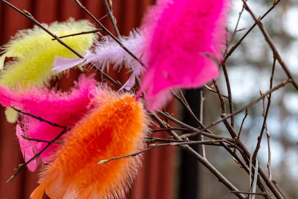 Colorful Easter decoration made of colored feathers and colored Easter eggs