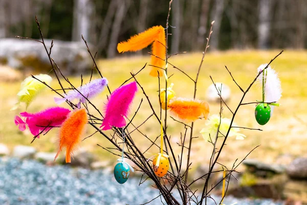 Colorful Easter Decoration Made Colored Feathers Colored Easter Eggs Royalty Free Stock Photos