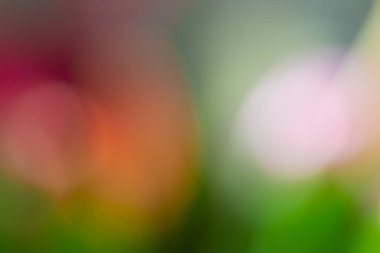 Kopya alanı ile çok renkli, bulanık arkaplan