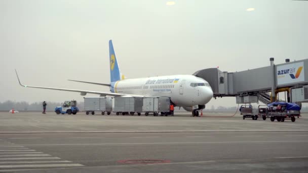 Kiev Ukraine 2020 International Airport Boryspil Aircraft Loading Unloading Passenger — ストック動画