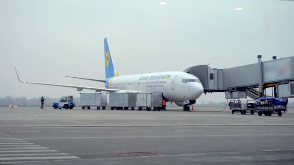 Kiev Ukraine 2020 International Airport Boryspil Aircraft Loading Unloading Passenger — Stock video