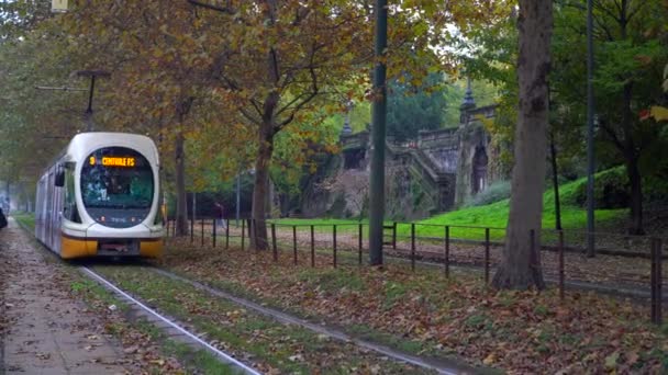 ミラノ イタリア2020年3月11日 古い黄色のトラムの交通 イタリアのファッションの街で秋の朝 市内の秋の木 特徴的な路面電車と木が並ぶ街の路地 公共交通機関 — ストック動画