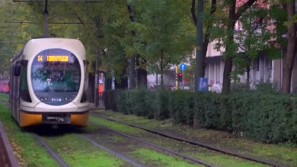 Mailand Italien März 2020 Alter Gelber Straßenbahnverkehr Herbstmorgen Der Stadt — Stockvideo