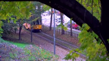 Milan, İtalya 7 Mart 2020, eski sarı tramvay trafiği. İtalyan modasının hüküm sürdüğü şehirde sonbahar sabahı. Şehirde sonbahar ağaçları var. Karakteristik tramvayı olan ağaç kaplı bir sokak. Toplu taşıma