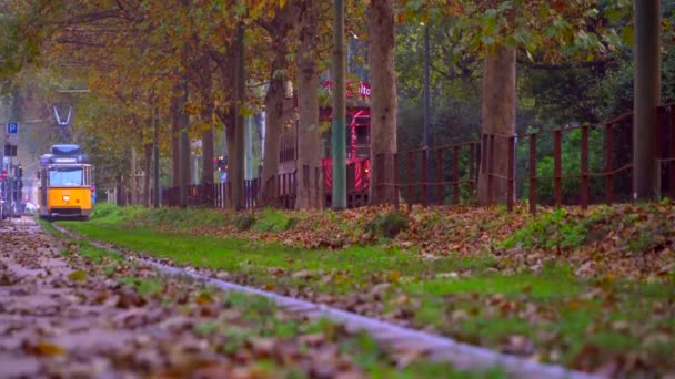 밀라노 2020 역사적 노란색 이탈리아 도시의 아침입니다 도시의 나무들 골목에 — 비디오
