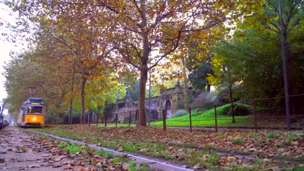 밀라노 2020 역사적 노란색 이탈리아 도시의 아침입니다 도시의 나무들 골목에 — 비디오