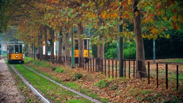 ミラノ イタリア2020年3月20日 古い黄色のトラムの交通 イタリアのファッションの街で秋の朝 市内の秋の木 特徴的な路面電車と木が並ぶ街の路地 公共交通機関 — ストック動画