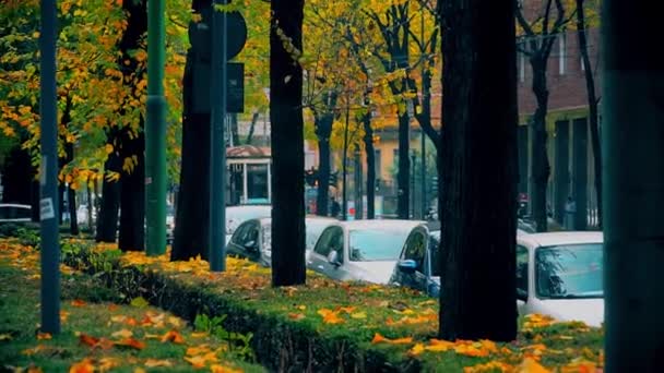 Mediolan Włochy Marca 2020 Stary Żółty Ruch Tramwajowy Jesienny Poranek — Wideo stockowe