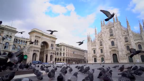 Milão Itália Março 2020 Praça Vazia Frente Catedral Pânico Coroa — Vídeo de Stock