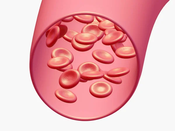 血管内の健康な赤血球です 3Dイラスト — ストック写真