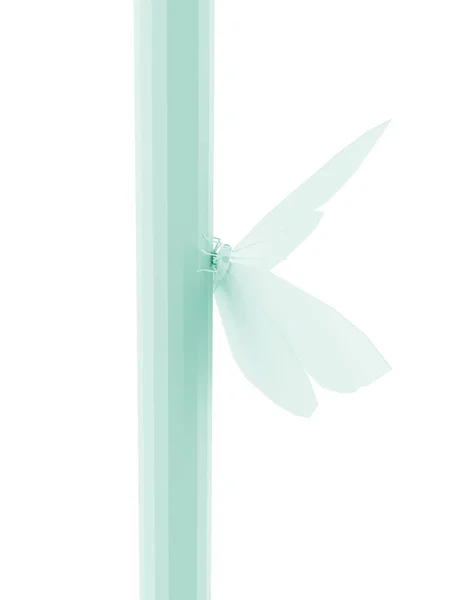 Pillangó Poligon Alacsony Poli Izolált Fehér Alapon Közelkép Geometriai Háromszögű — Stock Fotó