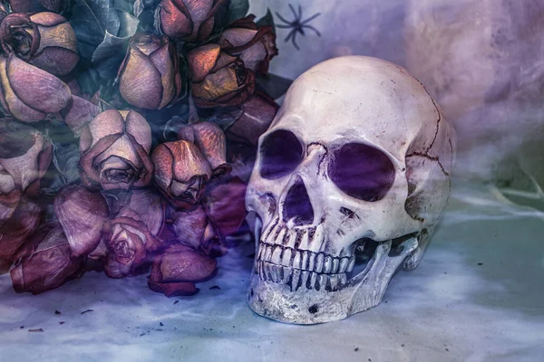 Still Life Skull Bouquet Roses Light Smoke — Stock Photo, Image