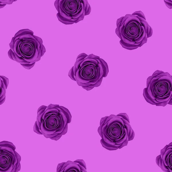 Seamless Pattern Purple Roses Illustration — Stock Photo, Image