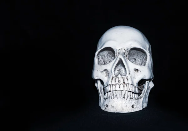 Human Plastic Skull Black Background — Stock Photo, Image