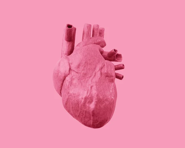 Coração Humano Sobre Fundo Rosa Ilustração — Fotografia de Stock